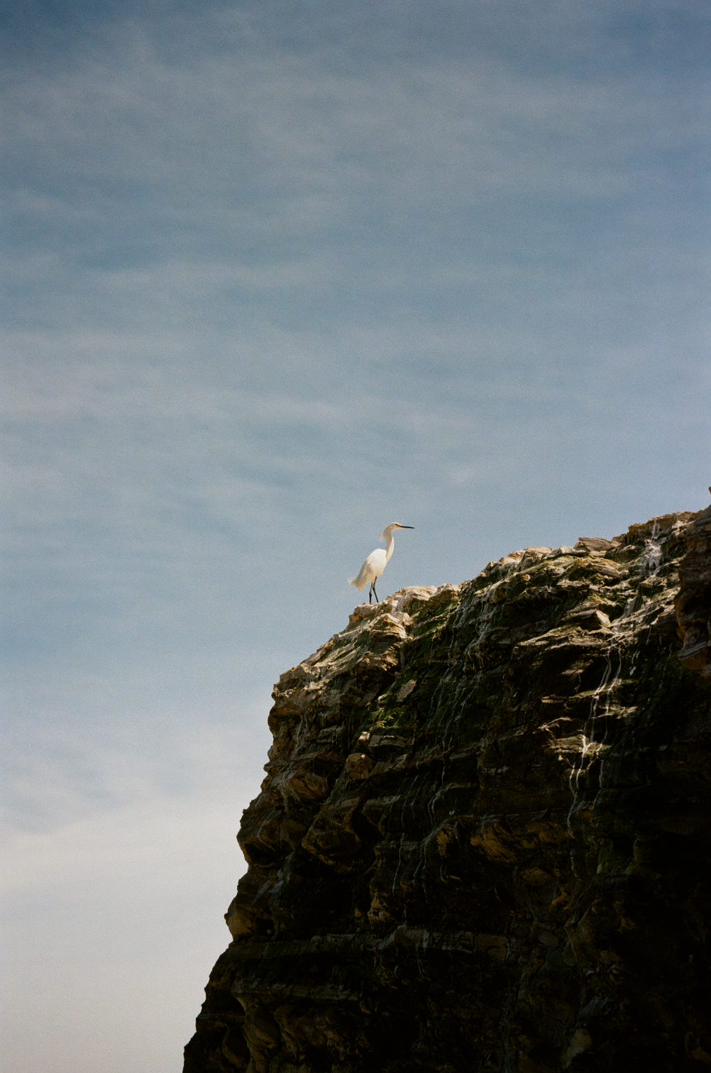 Ocean