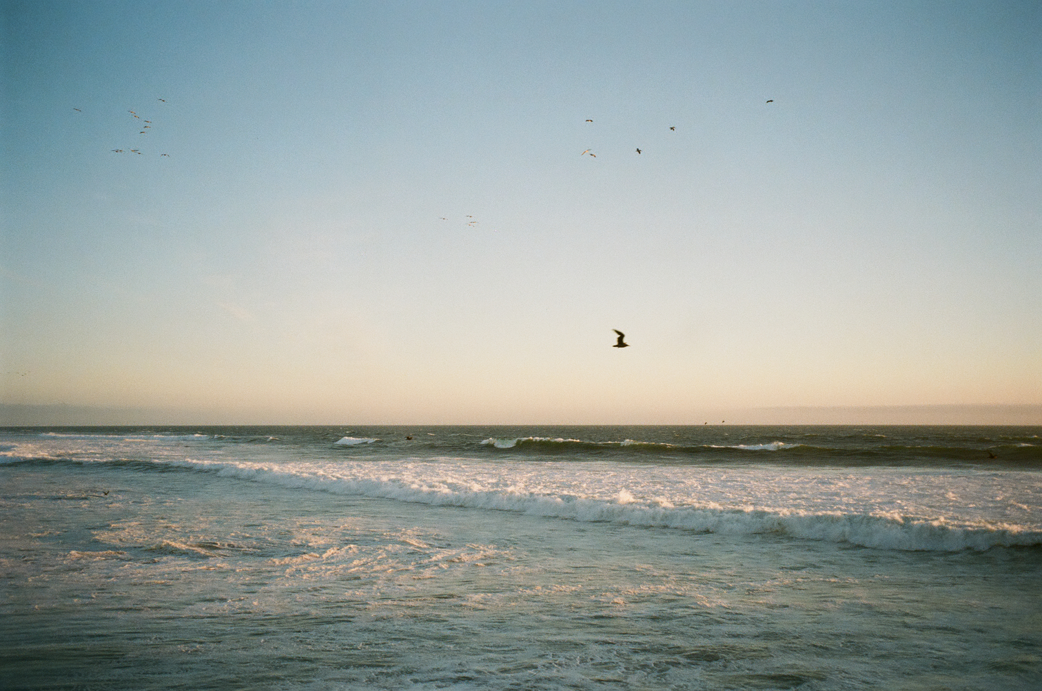Ocean